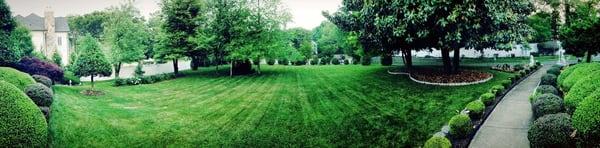 Mow/Trim/Edge in Vienna,Va