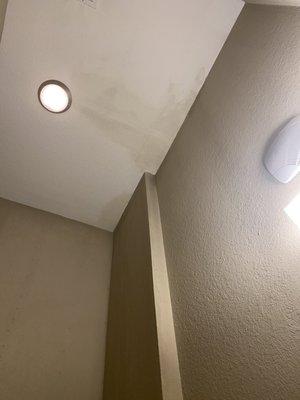 Mold and major water damage