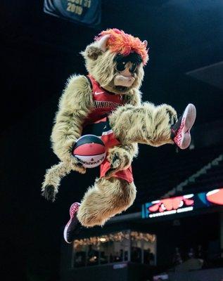 Mascot Gus T. Bull Dunking