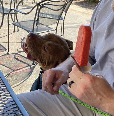 Strawberry Popsicle (for people)