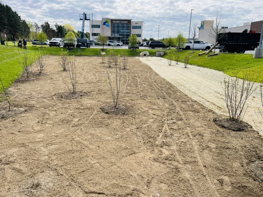 Basin : turf removal