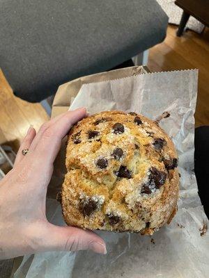 Chocolate Chip Muffin, Janet