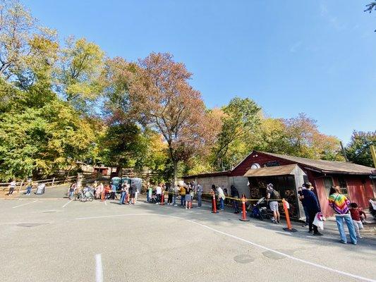 Line to the petting zoo