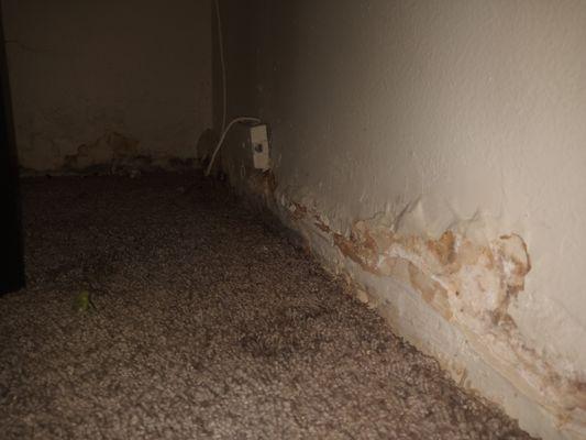 Mold and rotting walls they tried to hide behind this white cardboard nailed to the walls