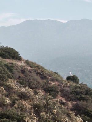 Looking at Mt. Lukens