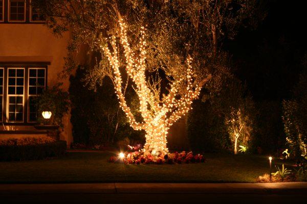 Elegant tree lighting