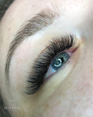 XL Volume Lash Extensions