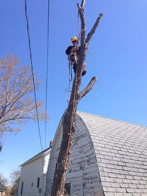 AAA Landscaping & Tree Service