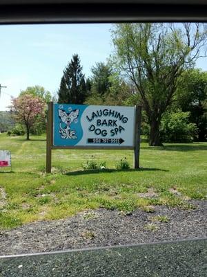 Laughing Bark Dog Spa