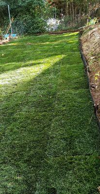 Sod installation