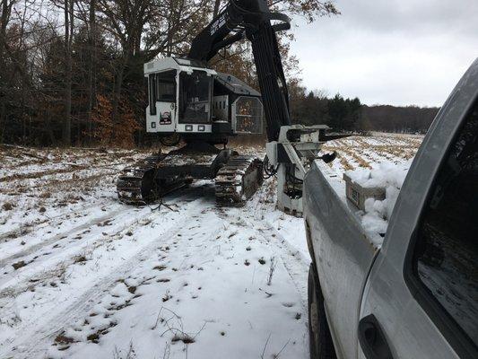 A Cut Above Tree Service and timber harvesting