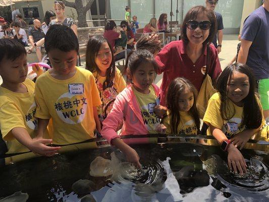 Fun, educational summer field trips to the aquarium and more!