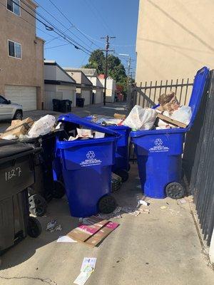 These are all the trashcans we get shared between 15 units :)