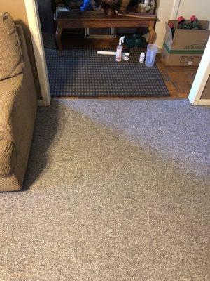 Keir Carpet Cleaning