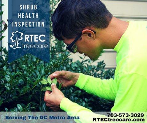 Shrub health inspection. Your tree service should always include routine inspections for health, insect, & diseases.