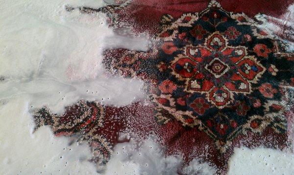 Carefully selected rug cleaning solutions and process for even the most difficult rugs.