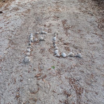 Someone spelled out FL in shells