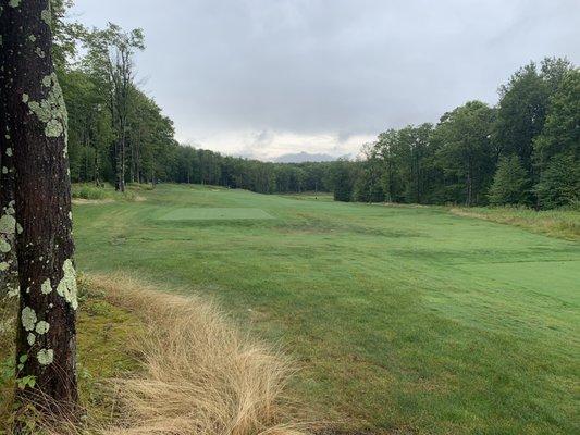 Beautiful fairways, greens and views!!!