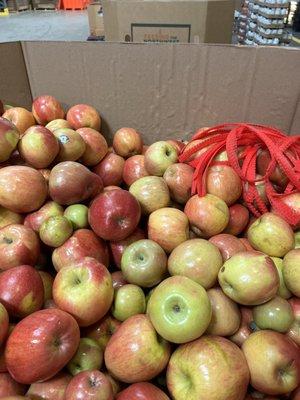 Sorting and bagging apples