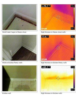 Mold Moisture Report