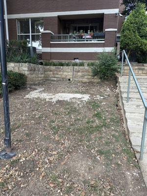 Landscaping on the back of the building