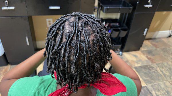 Completed Starter Locs