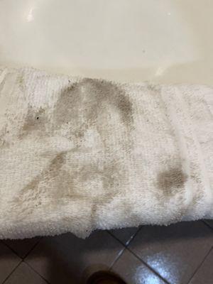 The face towel I wiped out the bathtub with.