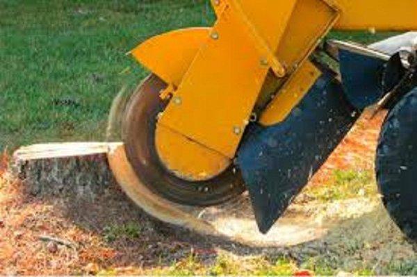 Stump Grinding