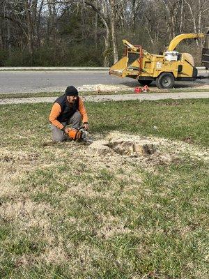 Stump grinding