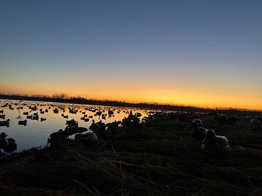 The duck blind