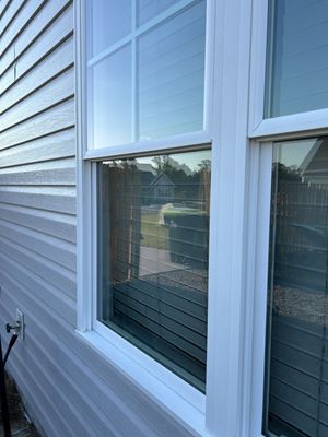 Paneless Window Cleaning