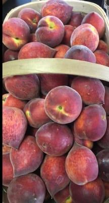 Delicious Georgia peaches!