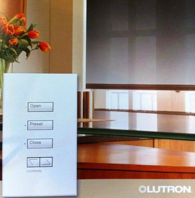 Lutron Lighting and Shade Control