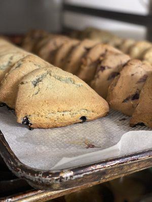 Taste by the Lake Scones