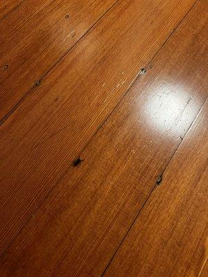 Dead flies all throughout the house $11k rental