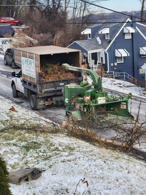 Removal of fallen tree