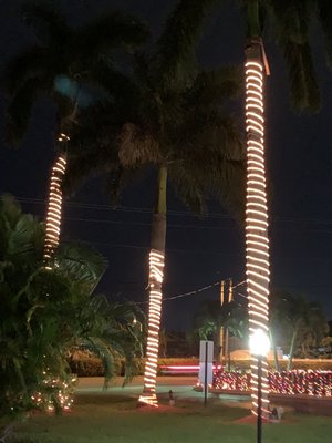 Lights on CENTER tree at top burned out two months after reported.