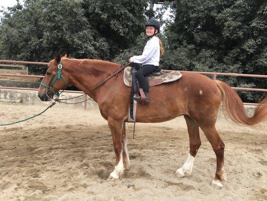 Sabrina is a draft horse-our gentle giant. She's the perfect lesson horse for kids and adults.