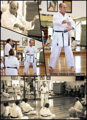 Sensei Franco Sanguinetti teaching at a seminar in another school. He travels and teach abroad as well