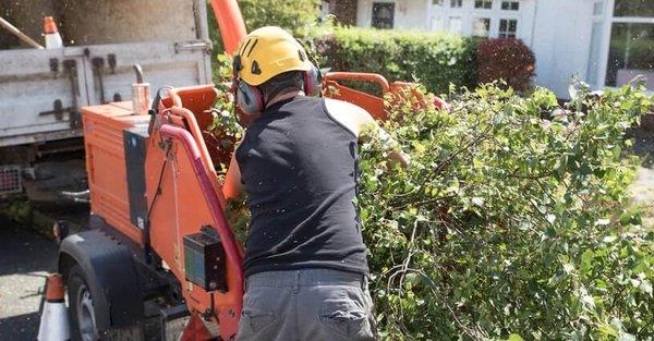 making mulch from limbs