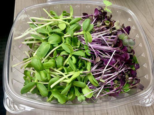 Growing organic microgreens is already an eco-friendly endeavor; they require less space, water, & time compared to tradition...