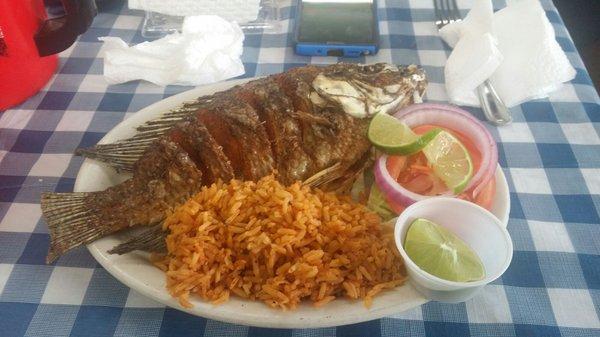 Mojarra, served with red rice and side salad.  My husband ate the whole plate in a few minutes!