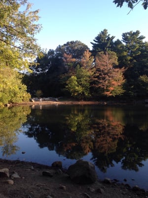 Early Fall at Menotomy Rocks Park