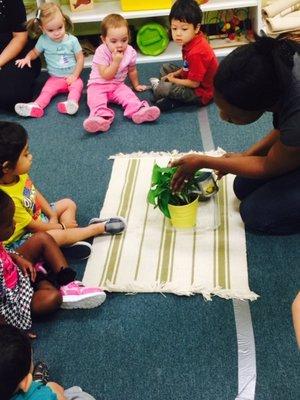 Toddler Class - Learning to take care of plants