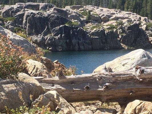 A lot of high rock shoreline