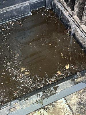 Puddle of foul water and sludge in garbage bin.