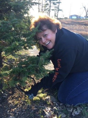 Cutting my first live tree!