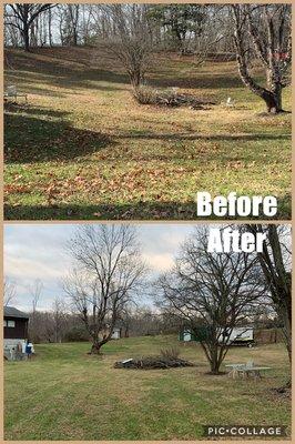 Leaf removal