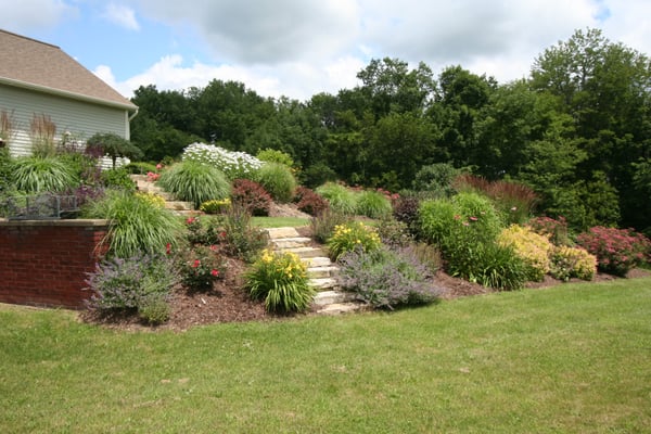 New colorful and low maintenance hillside plantings with new stone steps