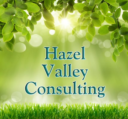 Hazel Valley Consulting